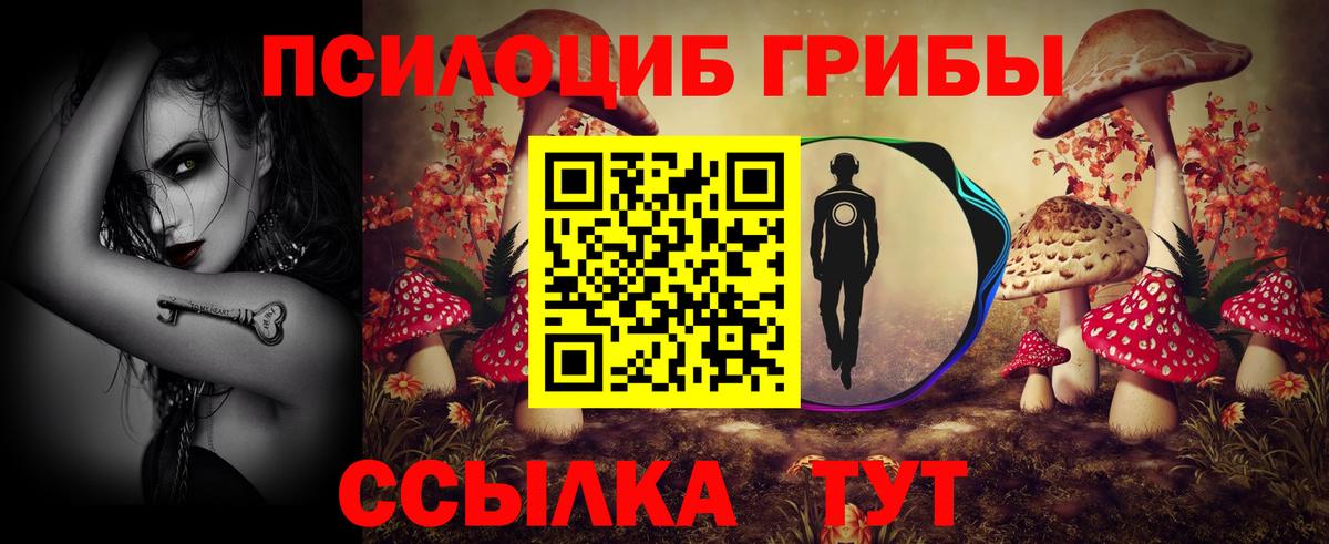Псилоцибиновые грибы Cubensis Нурлат