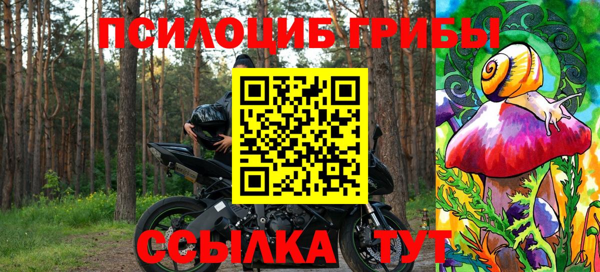 Галлюциногенные грибы Cubensis  Вход с VPN  Псилоцибиновые грибы прущие грибы  Нурлат 